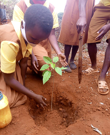 Githuaini Primary, Kirinyaga South