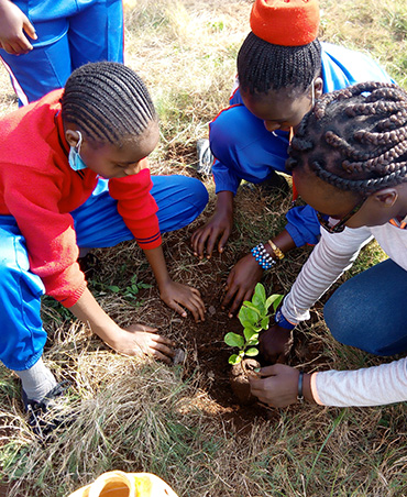 Benson Njau Primary School, Kiambaa, Kiambu